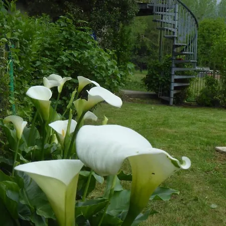 Le Grand Bed & Breakfast Aspet